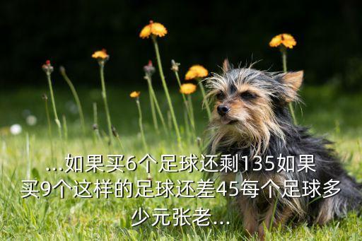 ...如果買6個(gè)足球還剩135如果買9個(gè)這樣的足球還差45每個(gè)足球多少元張老...