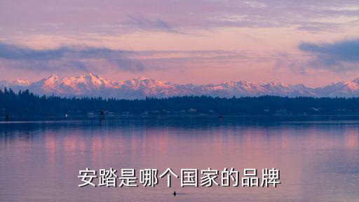 安踏是哪個(gè)國(guó)家的品牌
