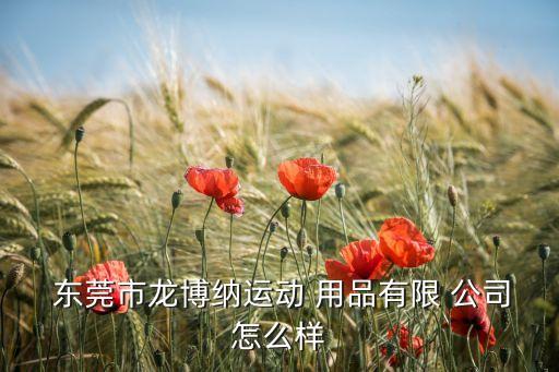  東莞市龍博納運動 用品有限 公司怎么樣