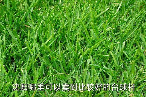  沈陽(yáng)哪里可以賣到比較好的臺(tái)球桿