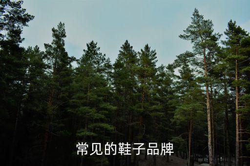 科強(qiáng)體育用品,體育用品創(chuàng)業(yè)計劃書