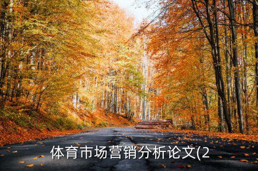  體育市場營銷分析論文(2