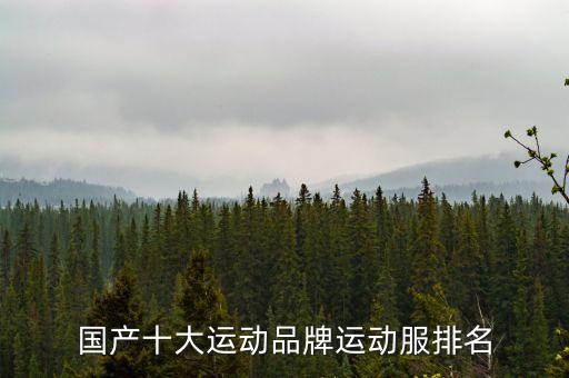 國(guó)產(chǎn)十大運(yùn)動(dòng)品牌運(yùn)動(dòng)服排名