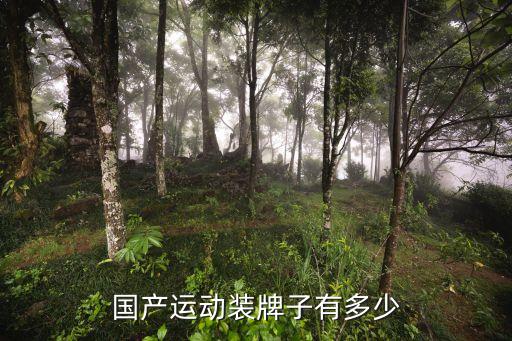 國產(chǎn)運動裝牌子有多少