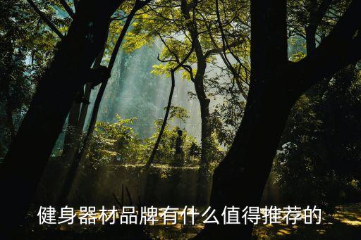 健身器材品牌有什么值得推薦的