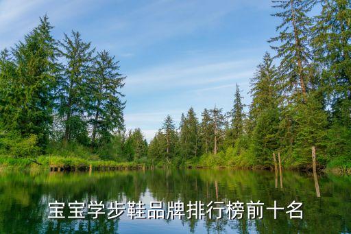 寶寶學步鞋品牌排行榜前十名
