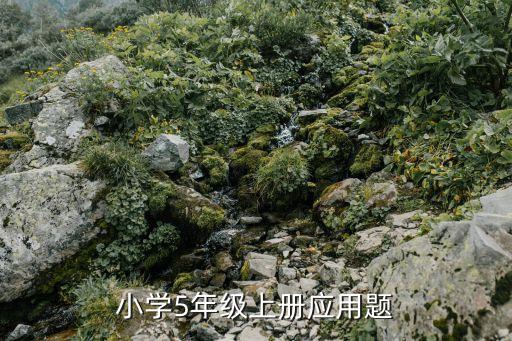 小學(xué)5年級上冊應(yīng)用題