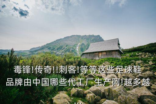 毒鋒!傳奇!!刺客!等等這些足球鞋品牌由中國(guó)哪些代工廠生產(chǎn)阿!越多越...
