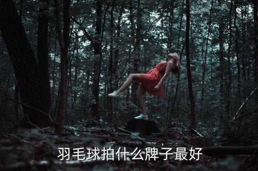  羽毛球拍什么牌子最好