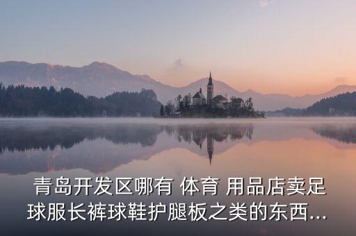  青島開發(fā)區(qū)哪有 體育 用品店賣足球服長(zhǎng)褲球鞋護(hù)腿板之類的東西...