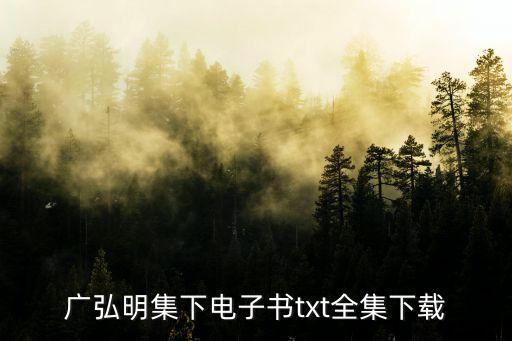 廣弘明集下電子書txt全集下載