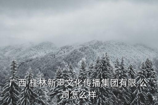 廣西 桂林新聲文化傳播集團有限 公司怎么樣