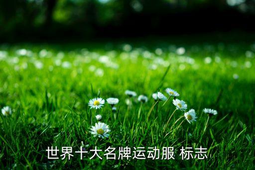 世界十大名牌運動服 標志