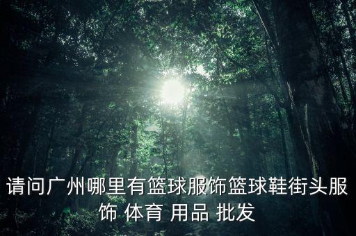 韶山市體育用品批發(fā)市場,鄭州體育用品批發(fā)市場在哪里