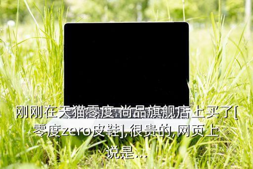 剛剛在天貓零度 尚品旗艦店上買了[零度zero皮鞋],很貴的,網(wǎng)頁上說是...