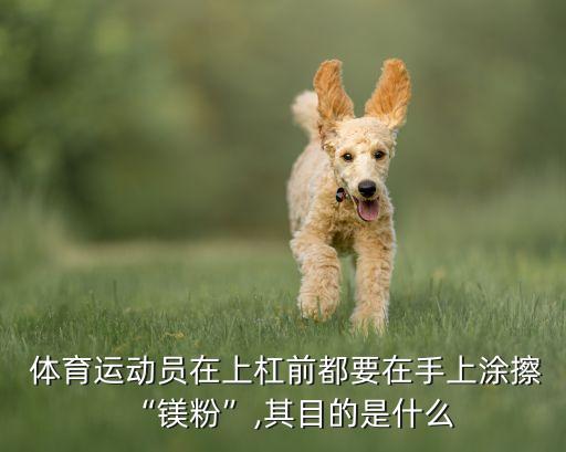 體育運(yùn)動員在上杠前都要在手上涂擦“鎂粉”,其目的是什么