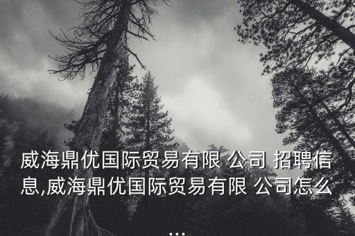 威海鼎優(yōu)國(guó)際貿(mào)易有限 公司 招聘信息,威海鼎優(yōu)國(guó)際貿(mào)易有限 公司怎么...