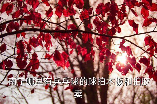  南寧哪里有乒乓球的球拍木板和拍膠賣