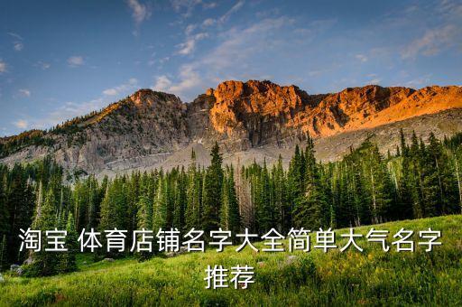 淘寶 體育店鋪名字大全簡單大氣名字推薦