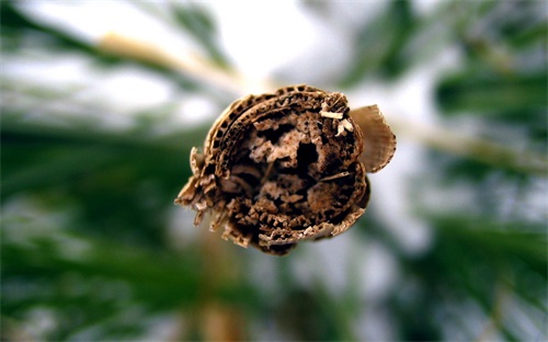 奢侈女裝品牌大全排行榜,女裝品牌大全排行榜前50名